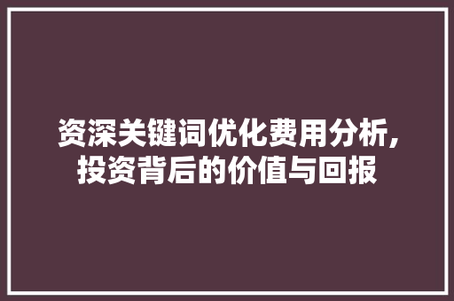 资深关键词优化费用分析,投资背后的价值与回报