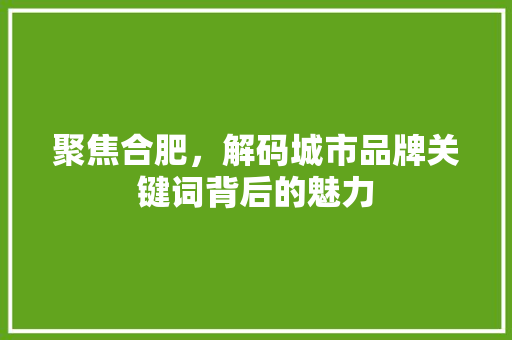 聚焦合肥，解码城市品牌关键词背后的魅力