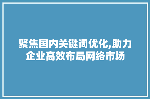 聚焦国内关键词优化,助力企业高效布局网络市场