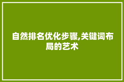 自然排名优化步骤,关键词布局的艺术