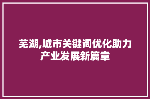 芜湖,城市关键词优化助力产业发展新篇章
