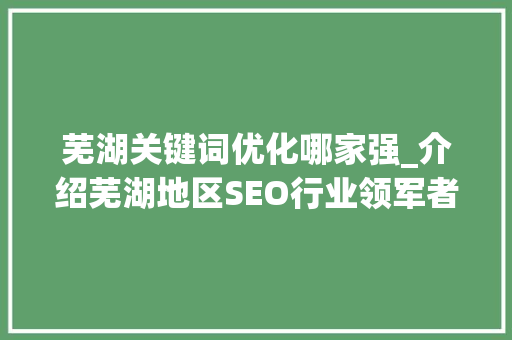 芜湖关键词优化哪家强_介绍芜湖地区SEO行业领军者