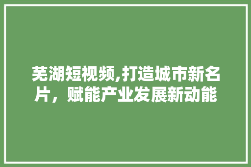 芜湖短视频,打造城市新名片，赋能产业发展新动能