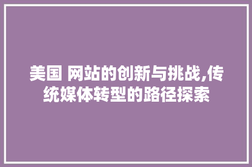 美国 网站的创新与挑战,传统媒体转型的路径探索 项目报告