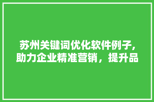 苏州关键词优化软件例子,助力企业精准营销，提升品牌影响力 响应式设计