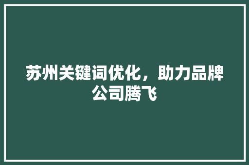 苏州关键词优化，助力品牌公司腾飞 缓存Redis