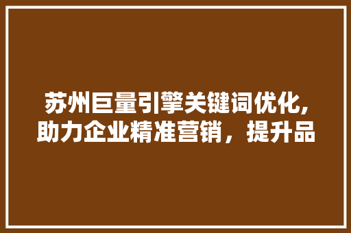 苏州巨量引擎关键词优化,助力企业精准营销，提升品牌影响力