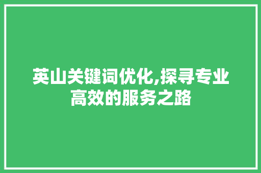 英山关键词优化,探寻专业高效的服务之路