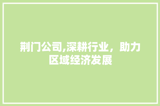 荆门公司,深耕行业，助力区域经济发展 MySQL