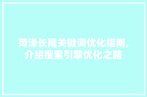 菏泽长尾关键词优化指南,介绍搜索引擎优化之路