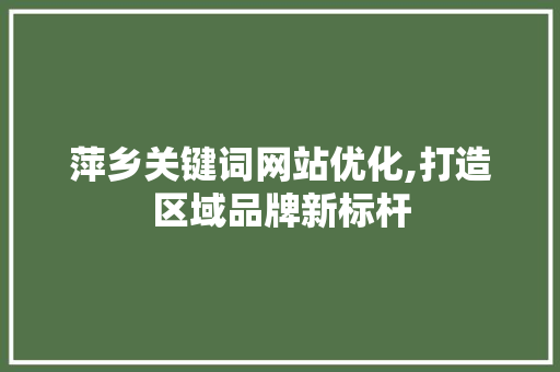 萍乡关键词网站优化,打造区域品牌新标杆