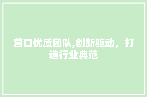 营口优质团队,创新驱动，打造行业典范