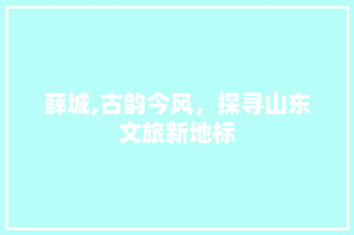薛城,古韵今风，探寻山东文旅新地标
