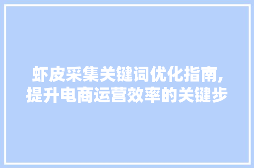 虾皮采集关键词优化指南,提升电商运营效率的关键步骤