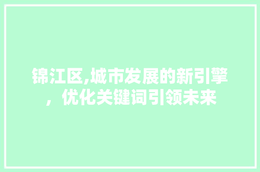 锦江区,城市发展的新引擎，优化关键词引领未来