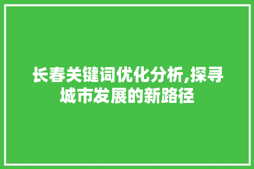 长春关键词优化分析,探寻城市发展的新路径