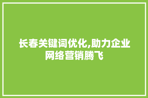 长春关键词优化,助力企业网络营销腾飞