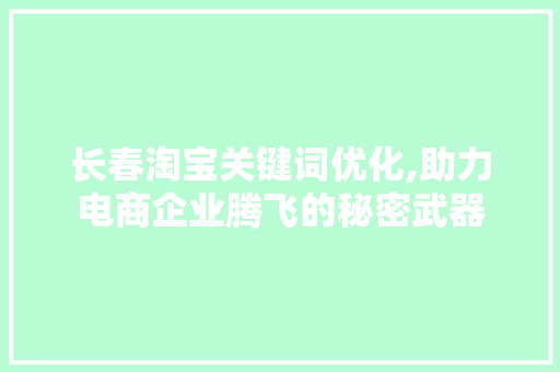 长春淘宝关键词优化,助力电商企业腾飞的秘密武器