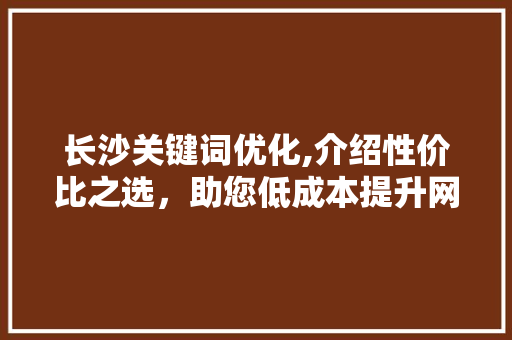 长沙关键词优化,介绍性价比之选，助您低成本提升网站排名