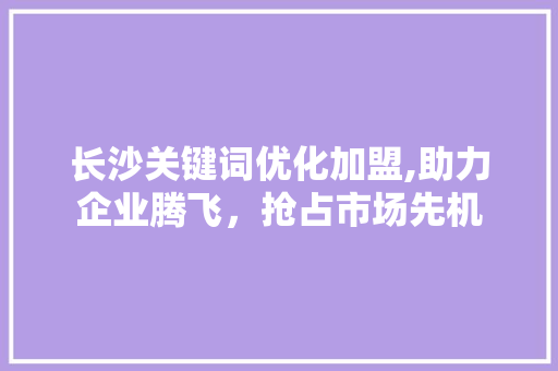 长沙关键词优化加盟,助力企业腾飞，抢占市场先机
