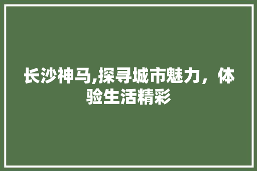 长沙神马,探寻城市魅力，体验生活精彩