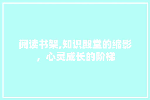 阅读书架,知识殿堂的缩影，心灵成长的阶梯
