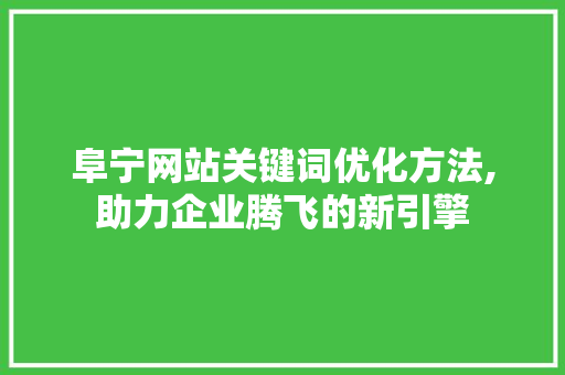 阜宁网站关键词优化方法,助力企业腾飞的新引擎