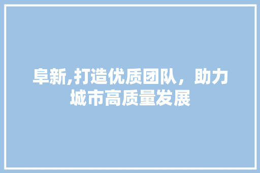 阜新,打造优质团队，助力城市高质量发展