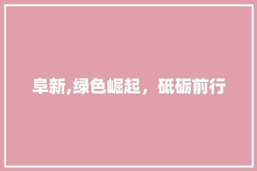 阜新,绿色崛起，砥砺前行