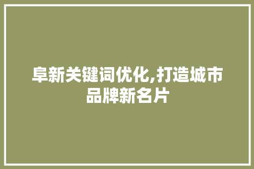 阜新关键词优化,打造城市品牌新名片