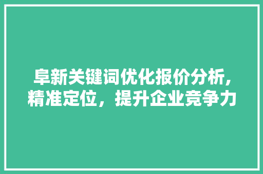 阜新关键词优化报价分析,精准定位，提升企业竞争力