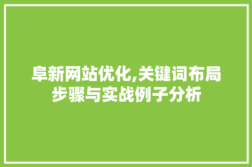 阜新网站优化,关键词布局步骤与实战例子分析