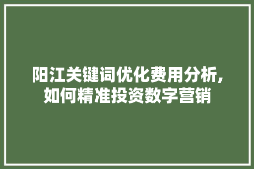 阳江关键词优化费用分析,如何精准投资数字营销