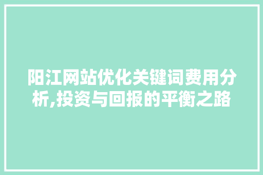 阳江网站优化关键词费用分析,投资与回报的平衡之路