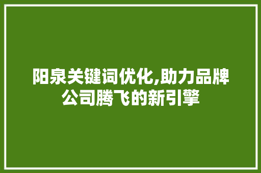 阳泉关键词优化,助力品牌公司腾飞的新引擎 前端技术
