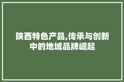 陕西特色产品,传承与创新中的地域品牌崛起