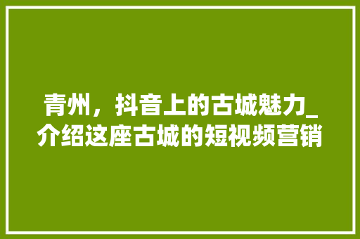 青州，抖音上的古城魅力_介绍这座古城的短视频营销之路