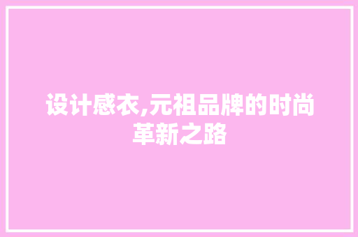 设计感衣,元祖品牌的时尚革新之路 项目报告