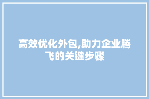 高效优化外包,助力企业腾飞的关键步骤