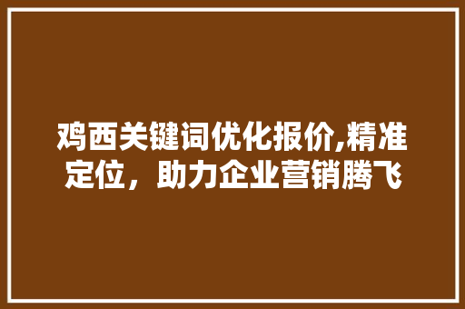 鸡西关键词优化报价,精准定位，助力企业营销腾飞
