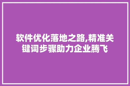 软件优化落地之路,精准关键词步骤助力企业腾飞