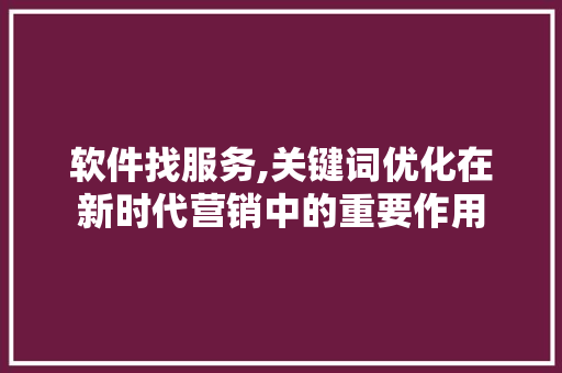 软件找服务,关键词优化在新时代营销中的重要作用