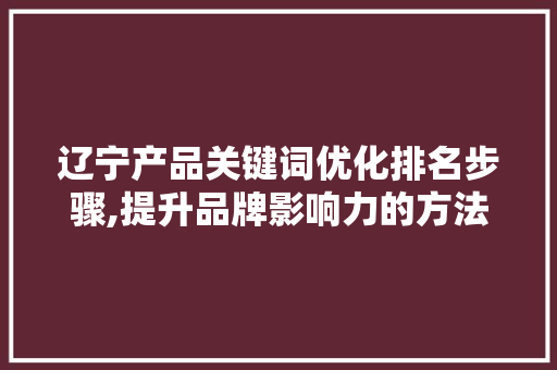 辽宁产品关键词优化排名步骤,提升品牌影响力的方法