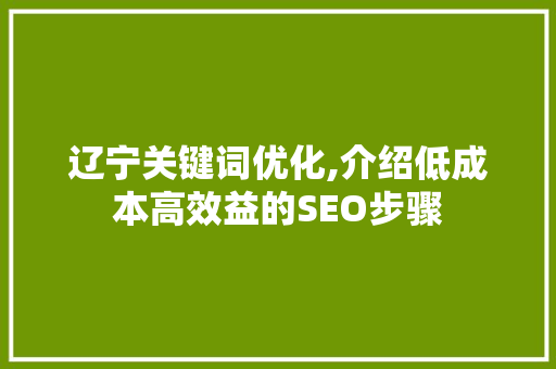 辽宁关键词优化,介绍低成本高效益的SEO步骤