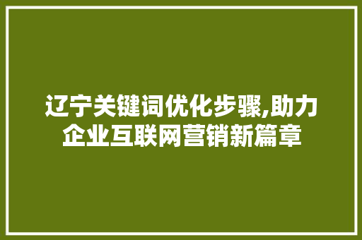 辽宁关键词优化步骤,助力企业互联网营销新篇章