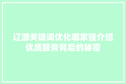 辽源关键词优化哪家强介绍优质服务背后的秘密