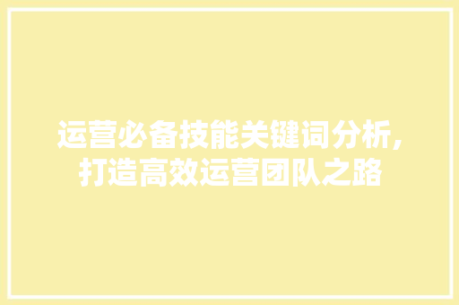 运营必备技能关键词分析,打造高效运营团队之路