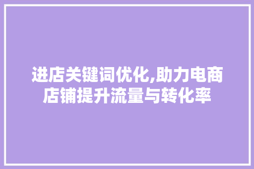 进店关键词优化,助力电商店铺提升流量与转化率