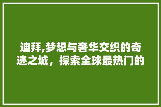 迪拜,梦想与奢华交织的奇迹之城，探索全球最热门的旅游目的地
