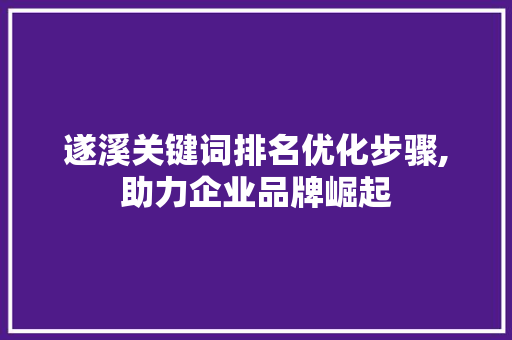 遂溪关键词排名优化步骤,助力企业品牌崛起